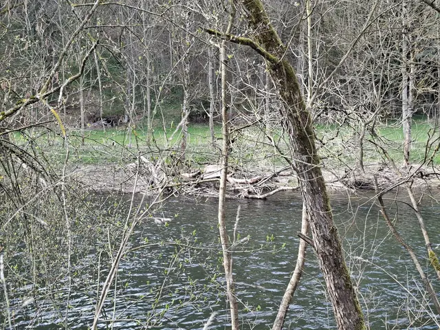 am Kocher entlang | Foto: Ralf Röser