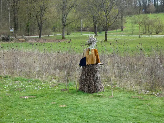 Amicam vor dem Wildblumenstreifen mit der verblühten wilden Karde.  | Foto: sigischlottke