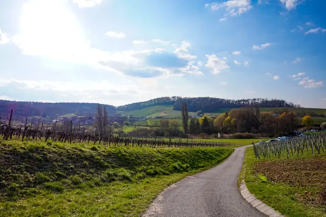 Foto: Marvin Scheuring 