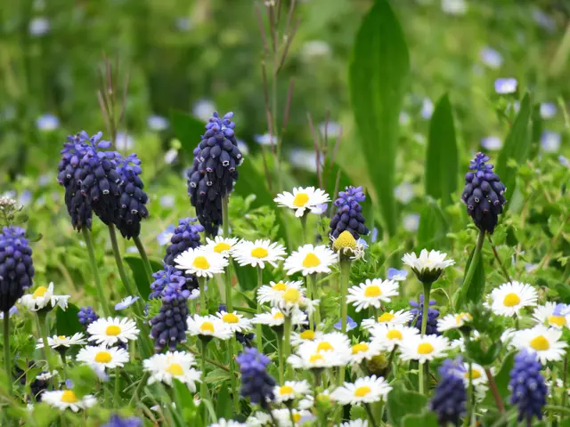 Im Weinberg | Foto: Helmut Brehm