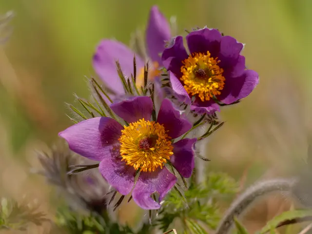 Foto: Eigenes Bild TB