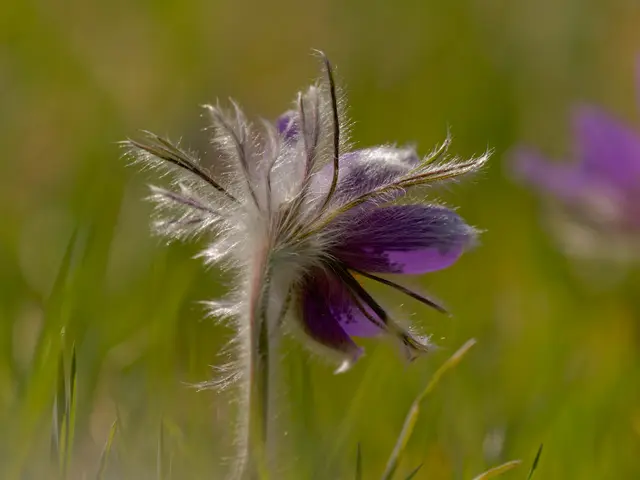 Foto: Eigenes Bild TB