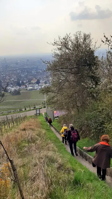 Foto: TSV Untergruppenbach