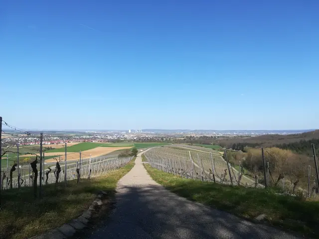 Leingarten - Heuchelberg, Gewann Schlag | Foto: Lokale Agenda 21