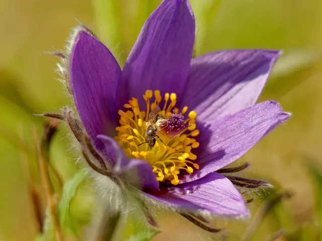 Foto: Eigenes Bild TB