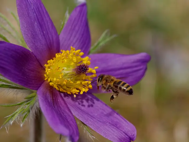 Foto: Eigenes Bild TB