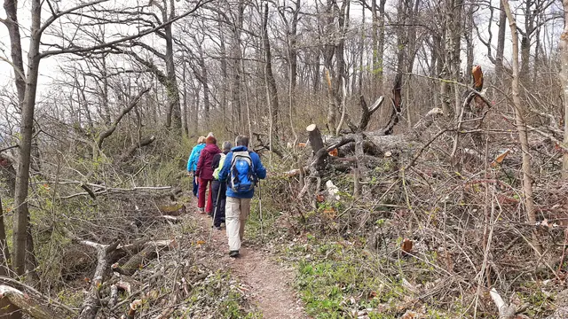 Foto: TSV Untergruppenbach
