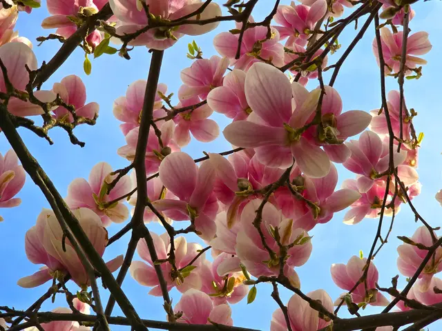 Foto: Heidrun Rosenberger