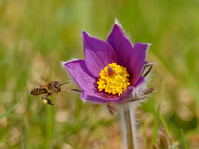 Foto: Eigenes Bild TB