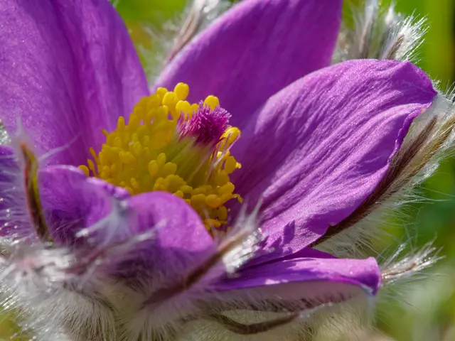 Foto: Eigenes Bild TB