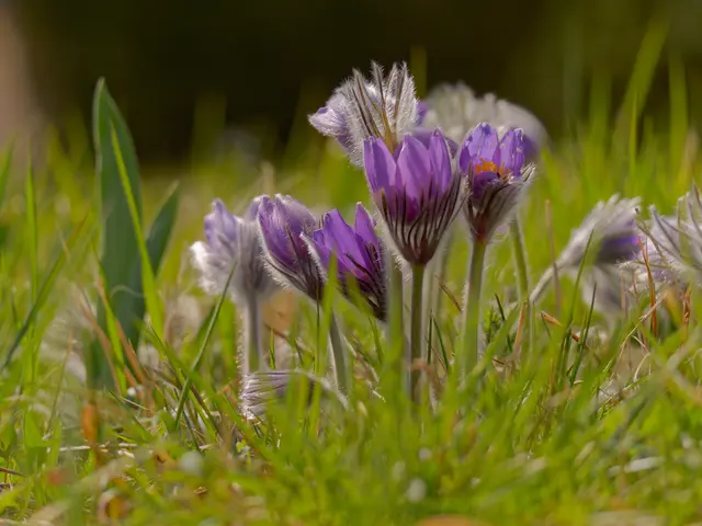 Foto: Eigenes Bild TB