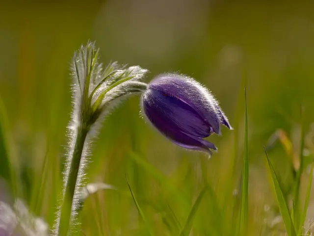 Foto: Eigenes Bild TB