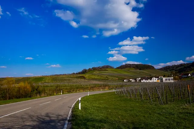 Foto: Marvin Scheuring 