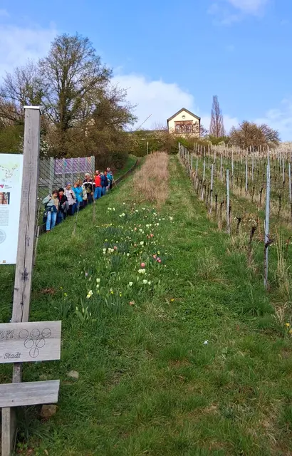 Foto: TSV Untergruppenbach