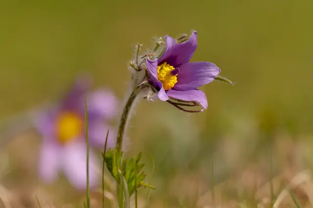 Foto: Eigenes Bild TB