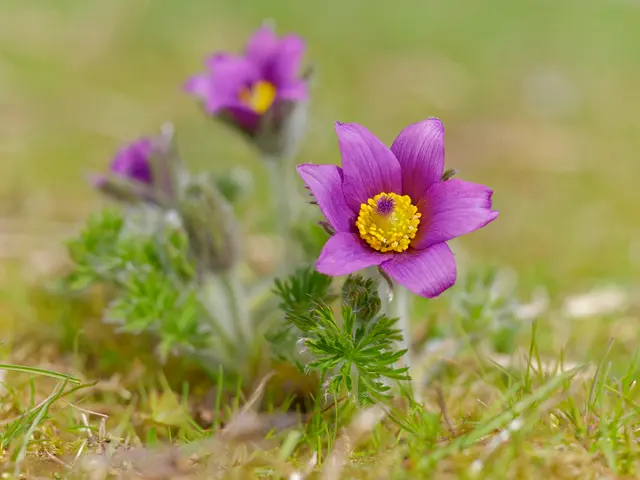 Foto: Eigenes Bild TB