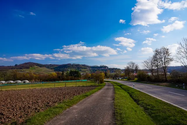 Foto: Marvin Scheuring 