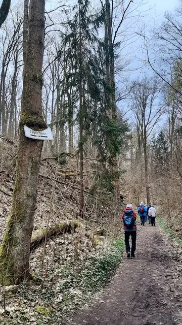 Foto: TSV Untergruppenbach