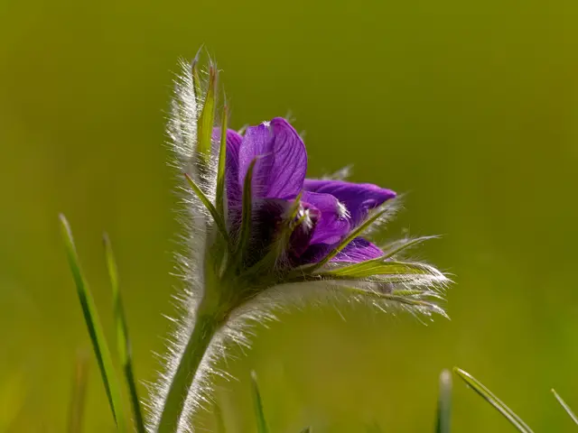 Foto: Eigenes Bild TB