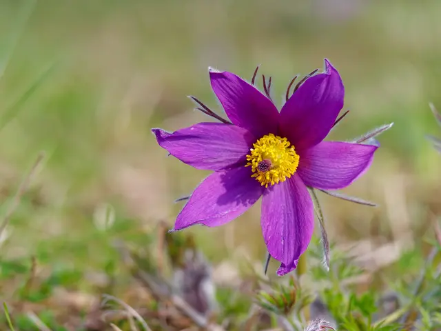 Foto: Eigenes Bild TB