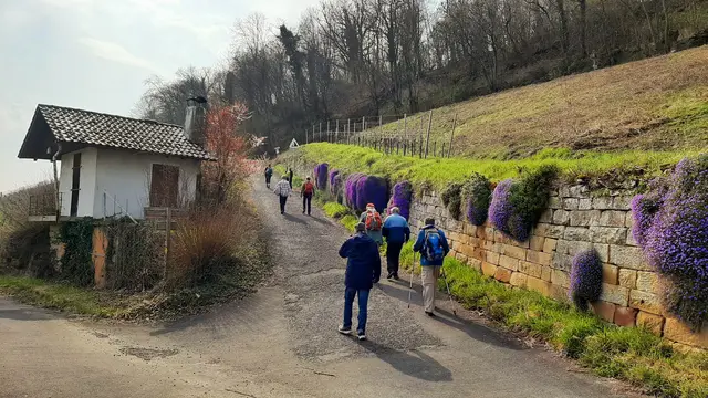 Foto: TSV Untergruppenbach