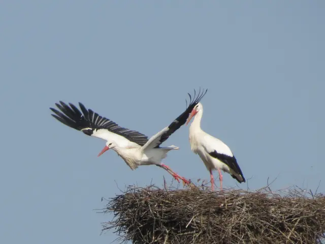 Abflug / Kupferzell | Foto: Helmut Brehm