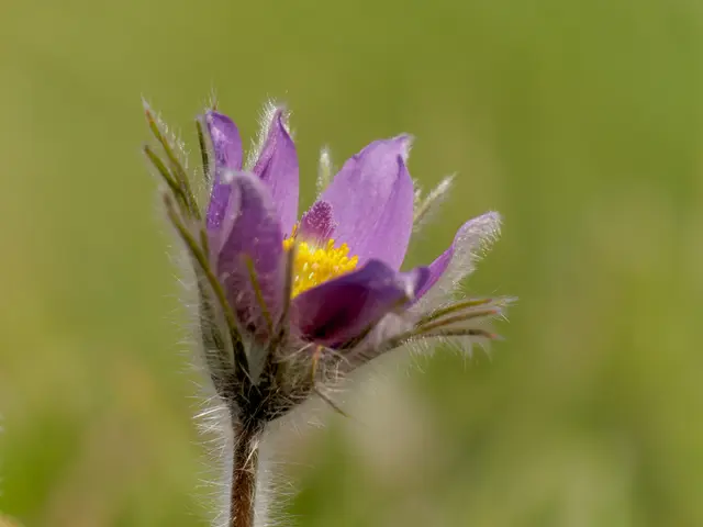 Foto: Eigenes Bild TB