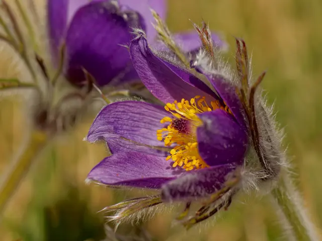 Foto: Eigenes Bild TB