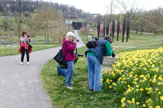 Rudelknipsen 😁 | Foto: WKY