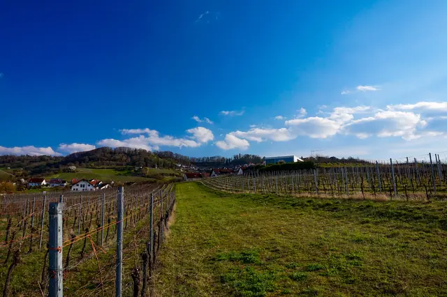 Foto: Marvin Scheuring 