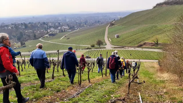 Foto: TSV Untergruppenbach