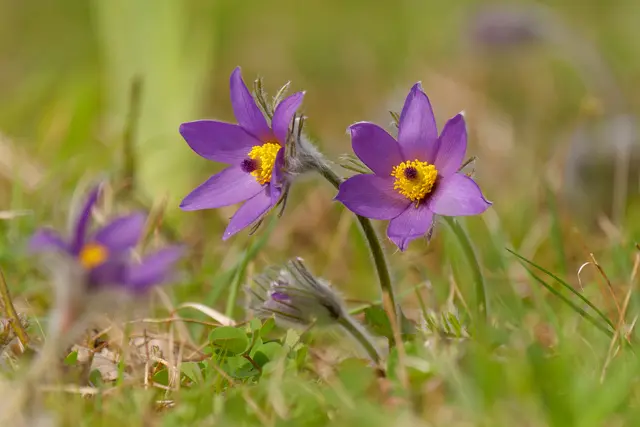 Foto: Eigenes Bild TB