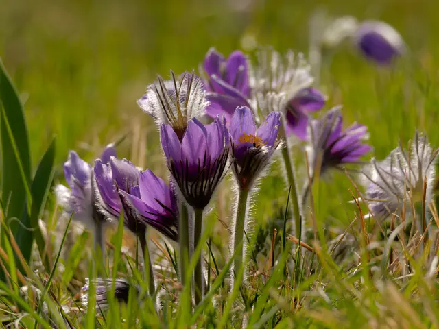 Foto: Eigenes Bild TB