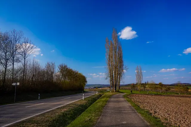 Foto: Marvin Scheuring 