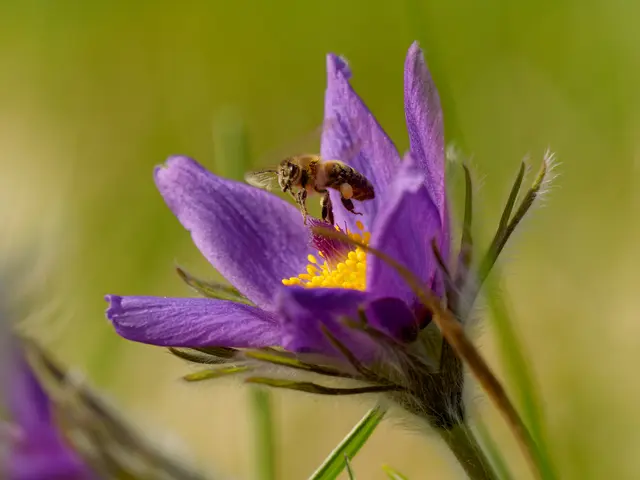 Foto: Eigenes Bild TB