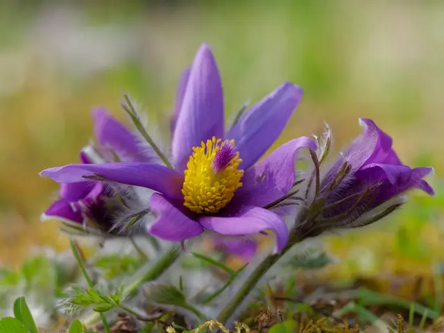 Foto: Eigenes Bild TB