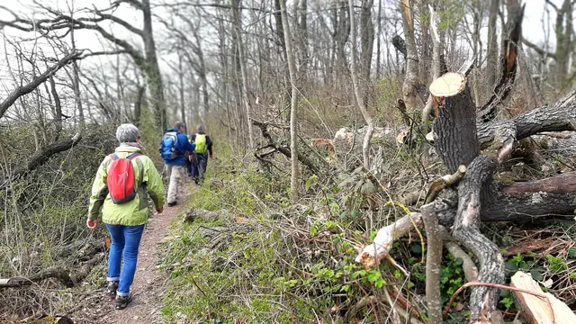 Foto: TSV Untergruppenbach