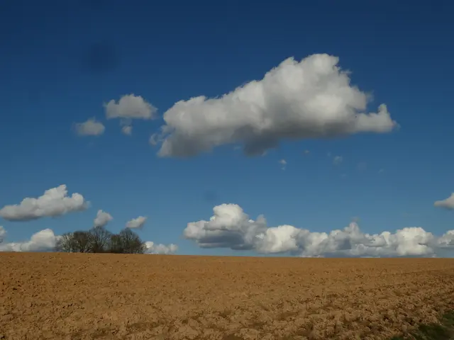 Hohenloher Ebene | Foto: Helmut Brehm