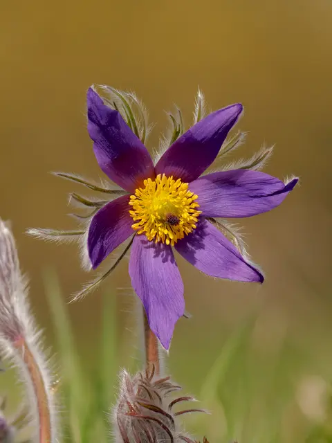 Foto: Eigenes Bild TB