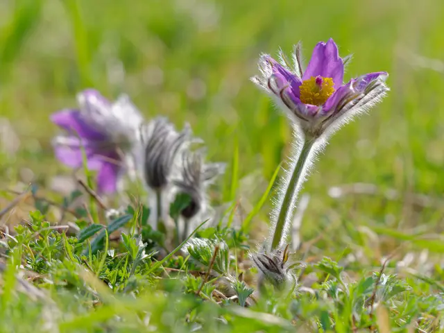 Foto: Eigenes Bild TB