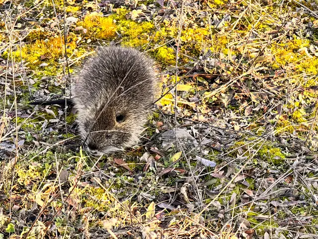 Foto: Heide Böllinger aus Bad Friedrichshall