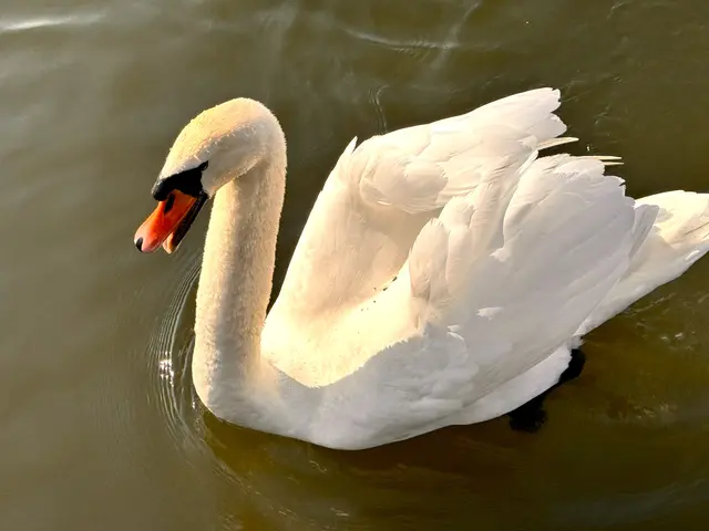 Foto: Heide Böllinger aus Bad Friedrichshall