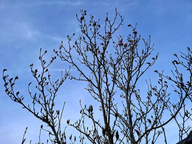 ganz zögerlich | Foto: Ralf Röser