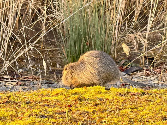 Foto: Heide Böllinger aus Bad Friedrichshall