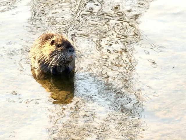 Foto: Heide Böllinger aus Bad Friedrichshall