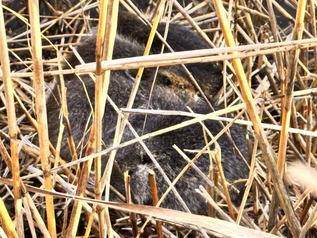 Foto: Heide Böllinger aus Bad Friedrichshall