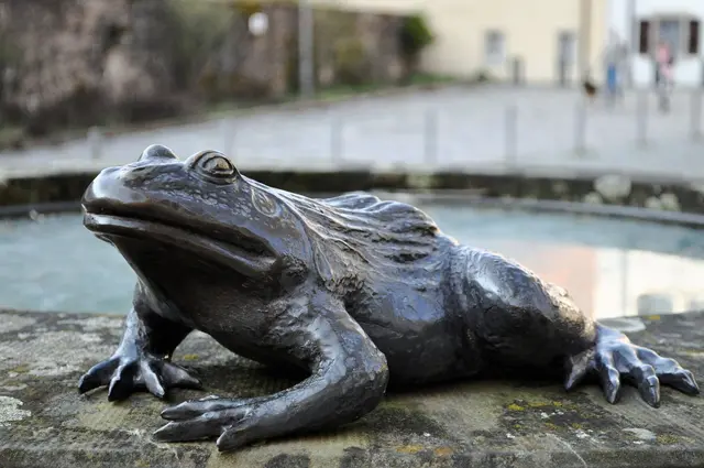 Und der Frosch am Brunnen muss natürlich auch auf ein Bild. | Foto: Daniela Somers