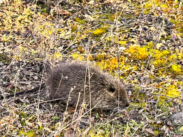 Foto: Heide Böllinger aus Bad Friedrichshall