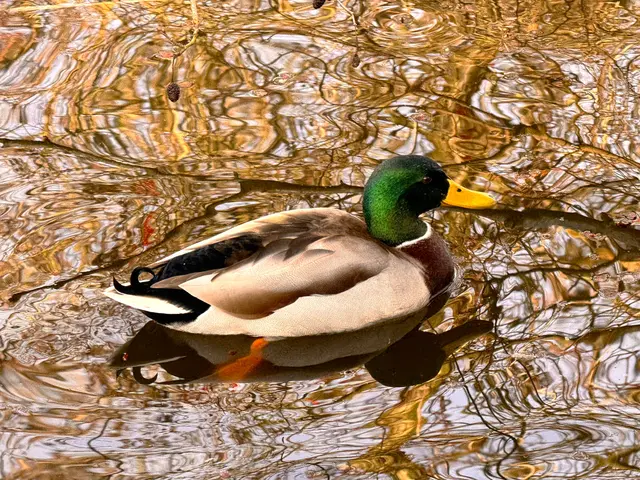 Foto: Heide Böllinger aus Bad Friedrichshall