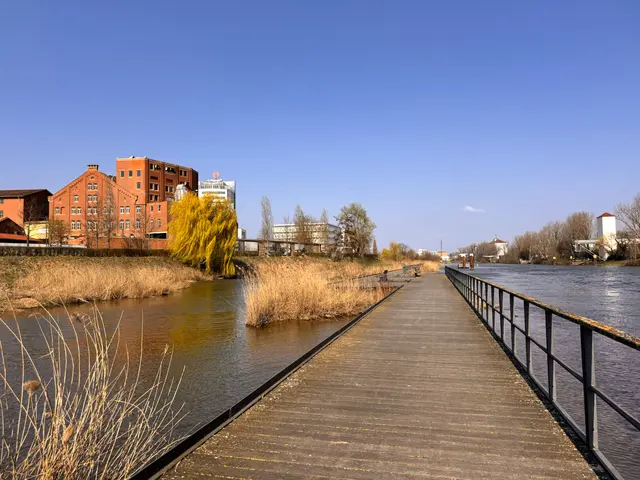 Foto: Heide Böllinger aus Bad Friedrichshall